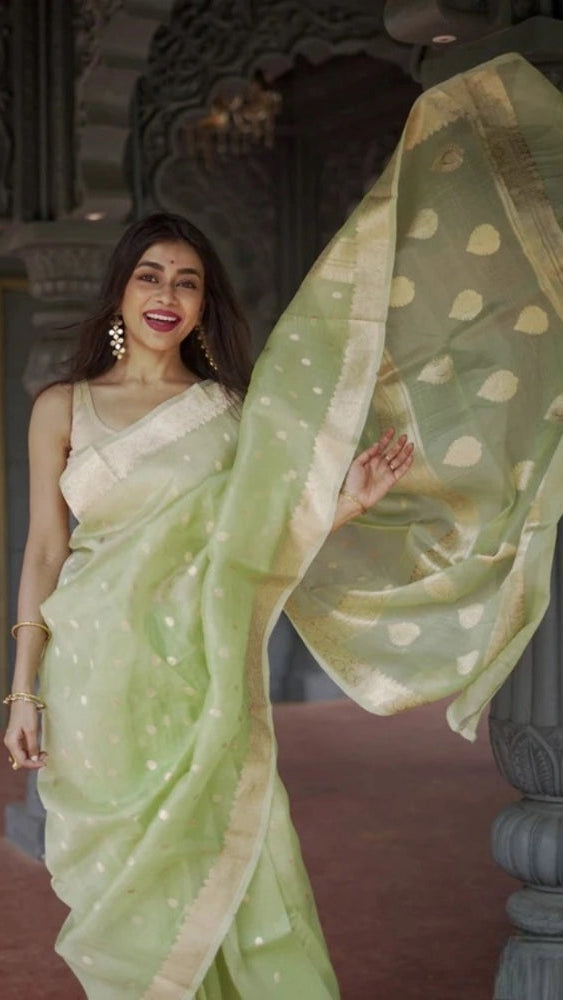 Pista Cotton Saree