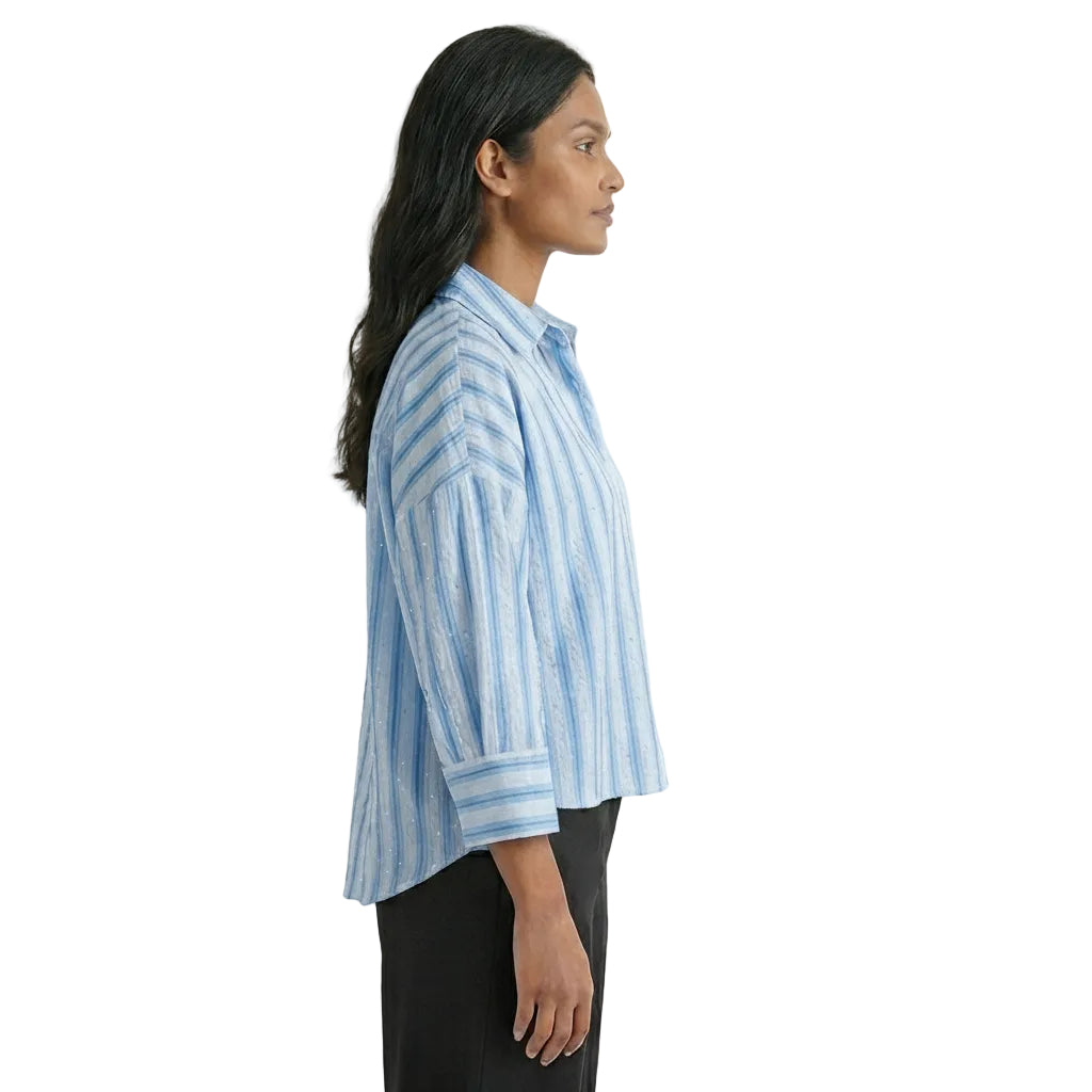 Blue Striped Button-Down Shirt